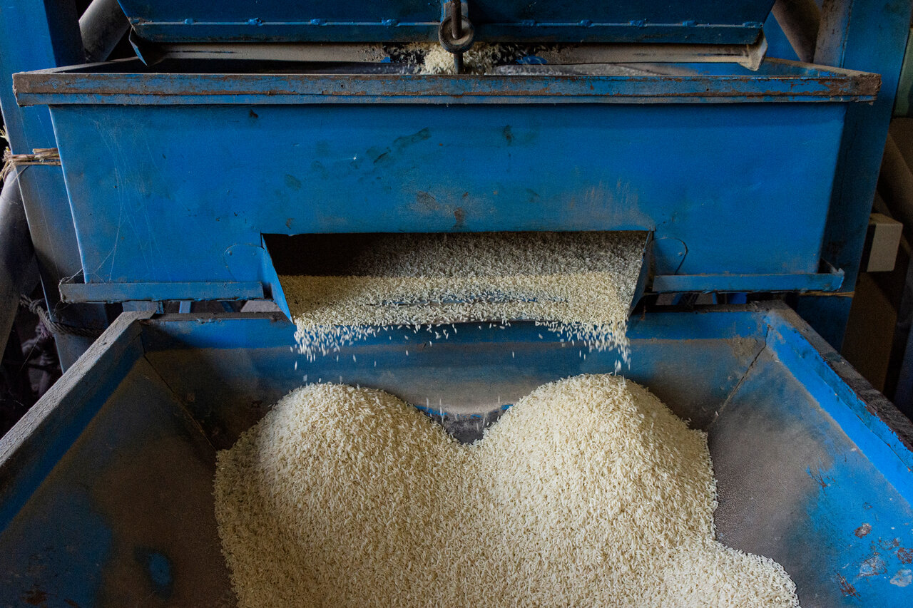 گیلان پیشتاز در مکانیزاسیون؛ تولید شلتوک برنج ۵ درصد افزایش یافت گیلان پیشتاز در مکانیزاسیون؛ تولید شلتوک برنج ۵ درصد افزایش یافت