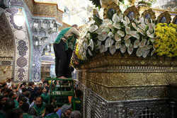 ضریح مطهر اخت الرضا(ع) حضرت معصومه(س) گل‌ آرایی شد