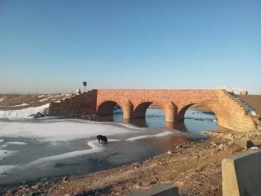 «نوجه ده» روستایی پیشرو در تولید ؛ لزوم حمایت از کشاورزان