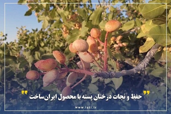 محصولات،شيميايي،سموم،پسته،محصول،شركت،گياهي،كاهش،سمي،كشاورزي، ...