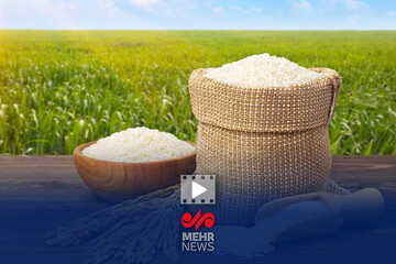 وزیر جهاد کشاورزی: برنج داخلی مشمول قیمت گذاری نیست