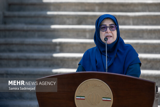 سخنگوی دولت در حاشیه جلسه هیئت دولت