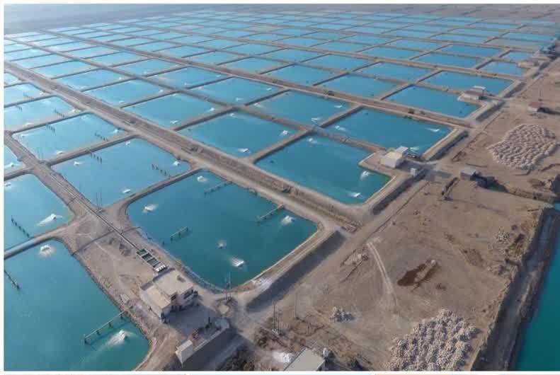 دستور وزیر نیرو برای تأمین برق دائم سایت رودشور شمالی