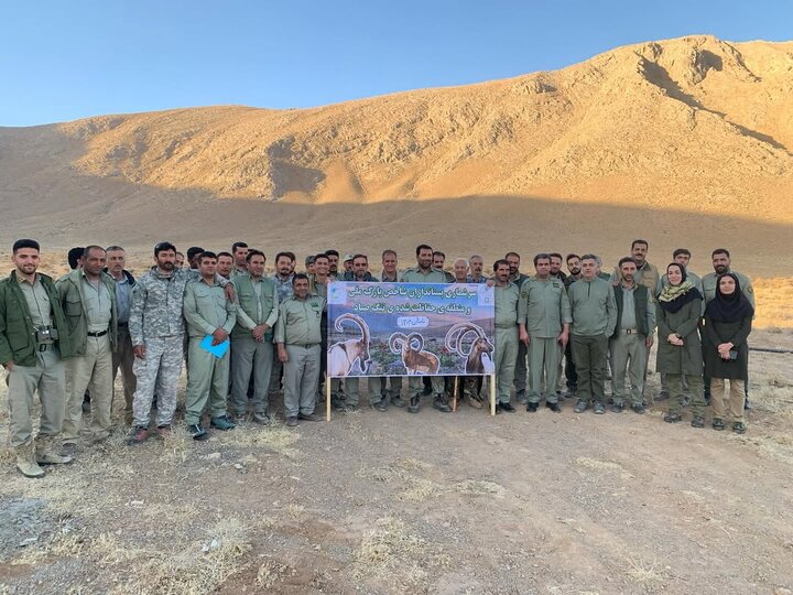 آغاز سرشماری تابستانه گونههای شاخص حیاتوحش در چهارمحال و بختیاری