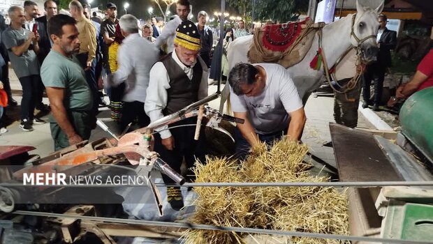 تصاویری از جشنواره شکرانه برنج در بندر کیاشهر تصاویری از جشنواره شکرانه برنج در بندر کیاشهر