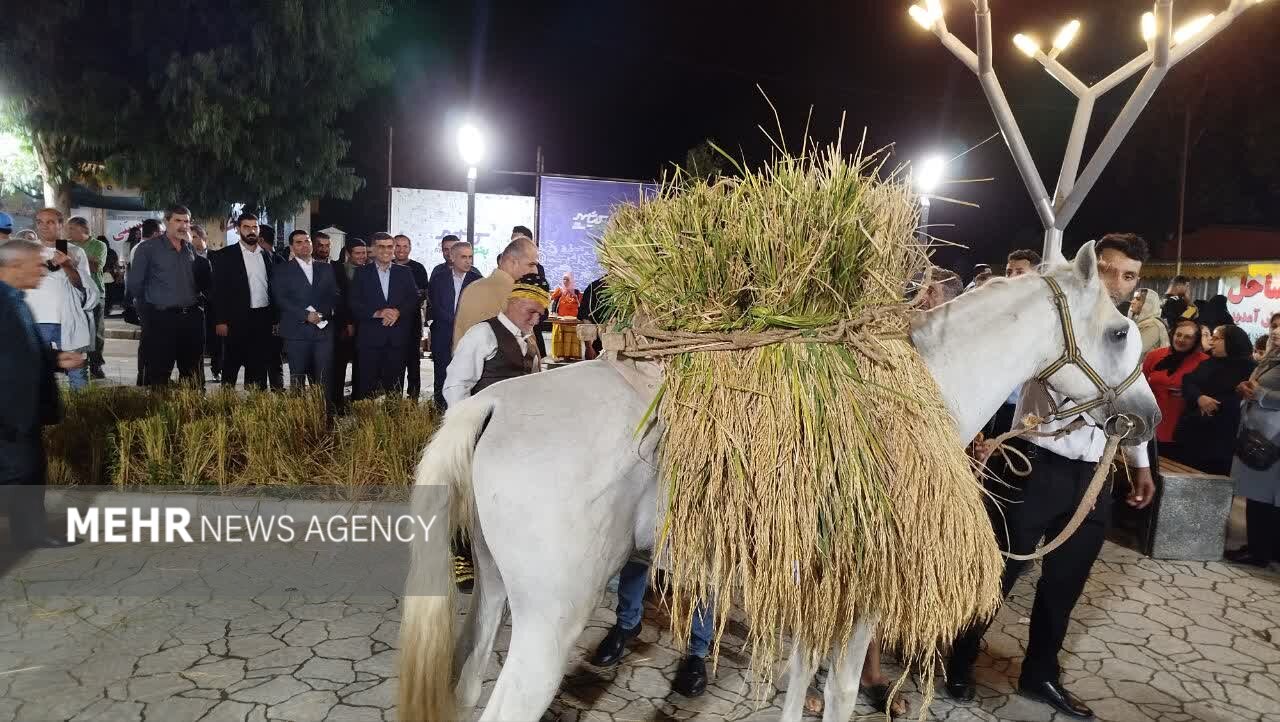 کیاشهر میزبان نخستین جشنواره شکرانه برنج شد؛روایت رنج کشاورز درشالیزار کیاشهر میزبان نخستین جشنواره شکرانه برنج شد؛روایت رنج کشاورز درشالیزار