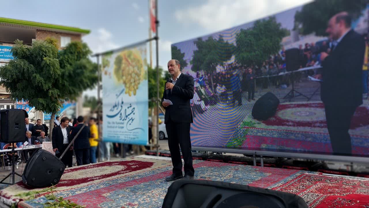 جشنواره ملی انگور در مشگین‌شهر برگزار شد