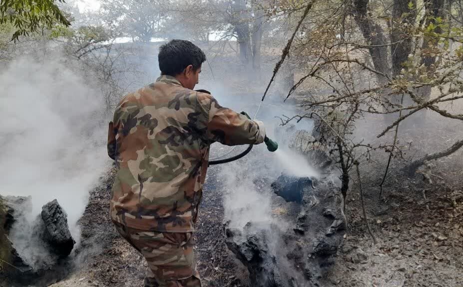 مرزبانی: مهار حریق ۱.۵ هکتار از اراضی تالش محله شفت؛ پایش ادامه دارد مرزبانی: مهار حریق ۱.۵ هکتار از اراضی تالش محله شفت؛ پایش ادامه دارد
