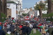 Tunus ve Fas'ta Gazze'ye destek gösterileri düzenlendi