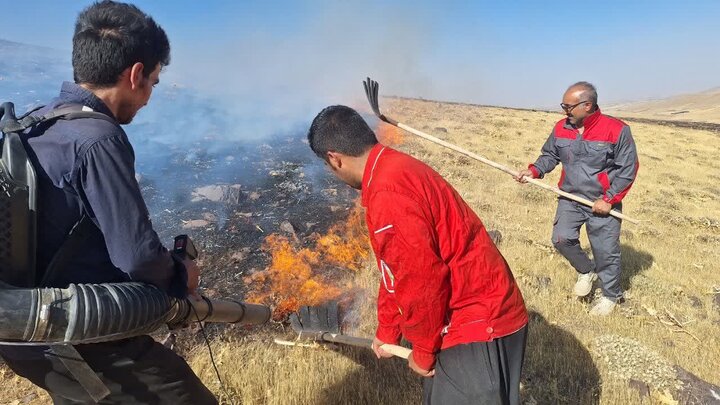 اولین رأی پرونده آتشسوزی عمدی مزارع دهگلان صادر شد