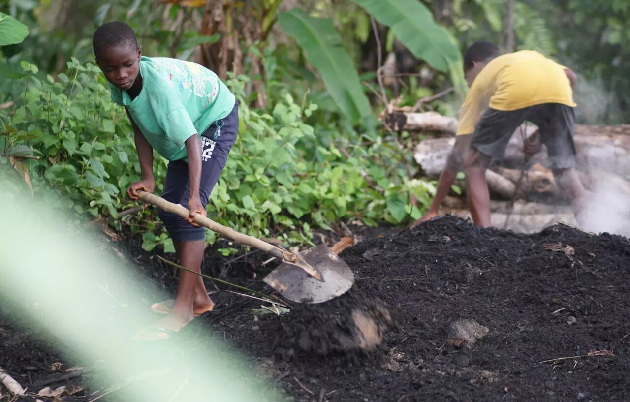 In Sierra Leone, child labour leaves childhoods on hold