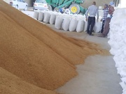 ۷۰ هزار تن انواع نهاده‌های دامی در مناطق عشایری فارس توزیع شد