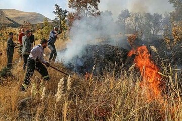 شعله ها، مراتع دلفارد جیرفت را خاکستر می کنند؛ نبود ایستگاه آتش نشانی