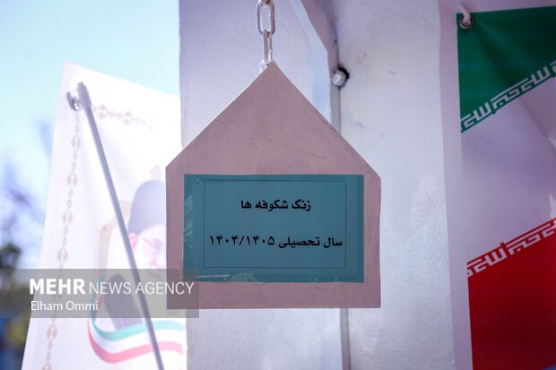 جشن شکوفه ها در سنندج