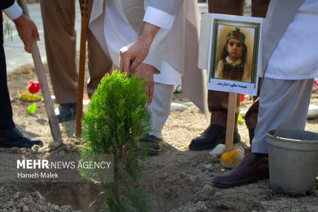 جشن شکوفه ها در گلستان