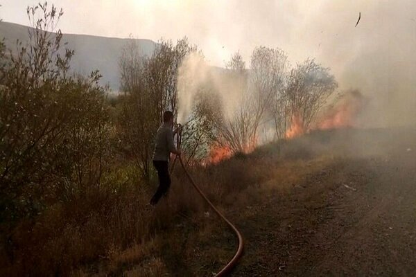 مهار آتشسوزی ۲۰ هکتاری در پارک ملی لار توسط محیطبانان