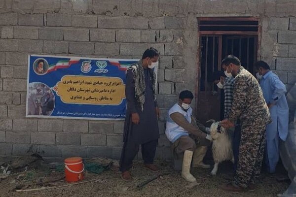 ۱۲۰۰ راس دام سبک در دلگان واکسینه شدند ۱۲۰۰ راس دام سبک در دلگان واکسینه شدند