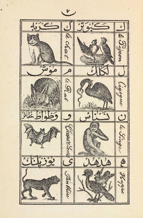 میراث مدرسه به روایت کتابخانه و موزه ملی ملک