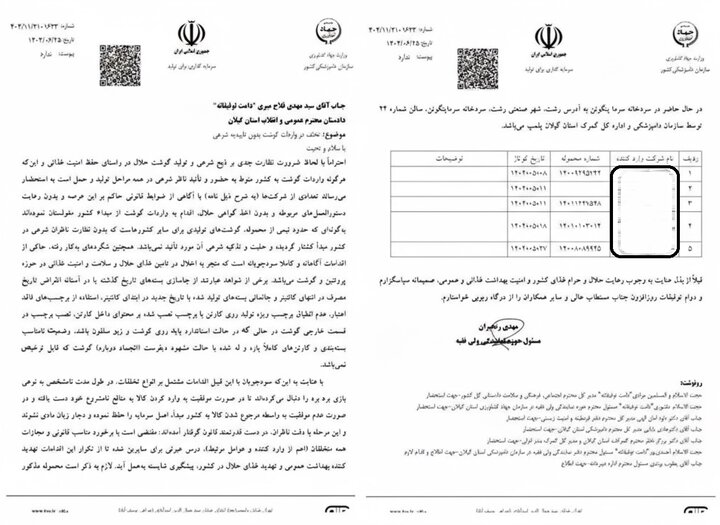معاون وزیر کشاورزی: گوشت مغولستان، ترانزیتی بوده و در گمرک توقیف است