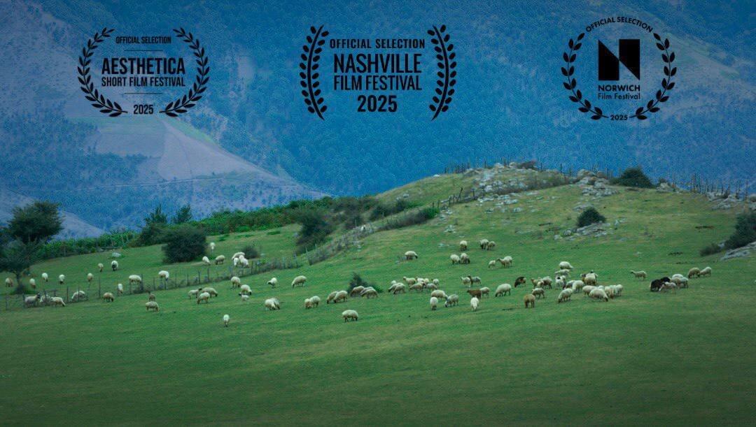 جشنواره،فيلم،كوتاه،برگزار،بريتانيا،Film،نورويچ،گوسفند،نويسند ...