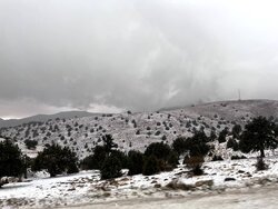 بارش اولین برف پاییزی در استان سمنان