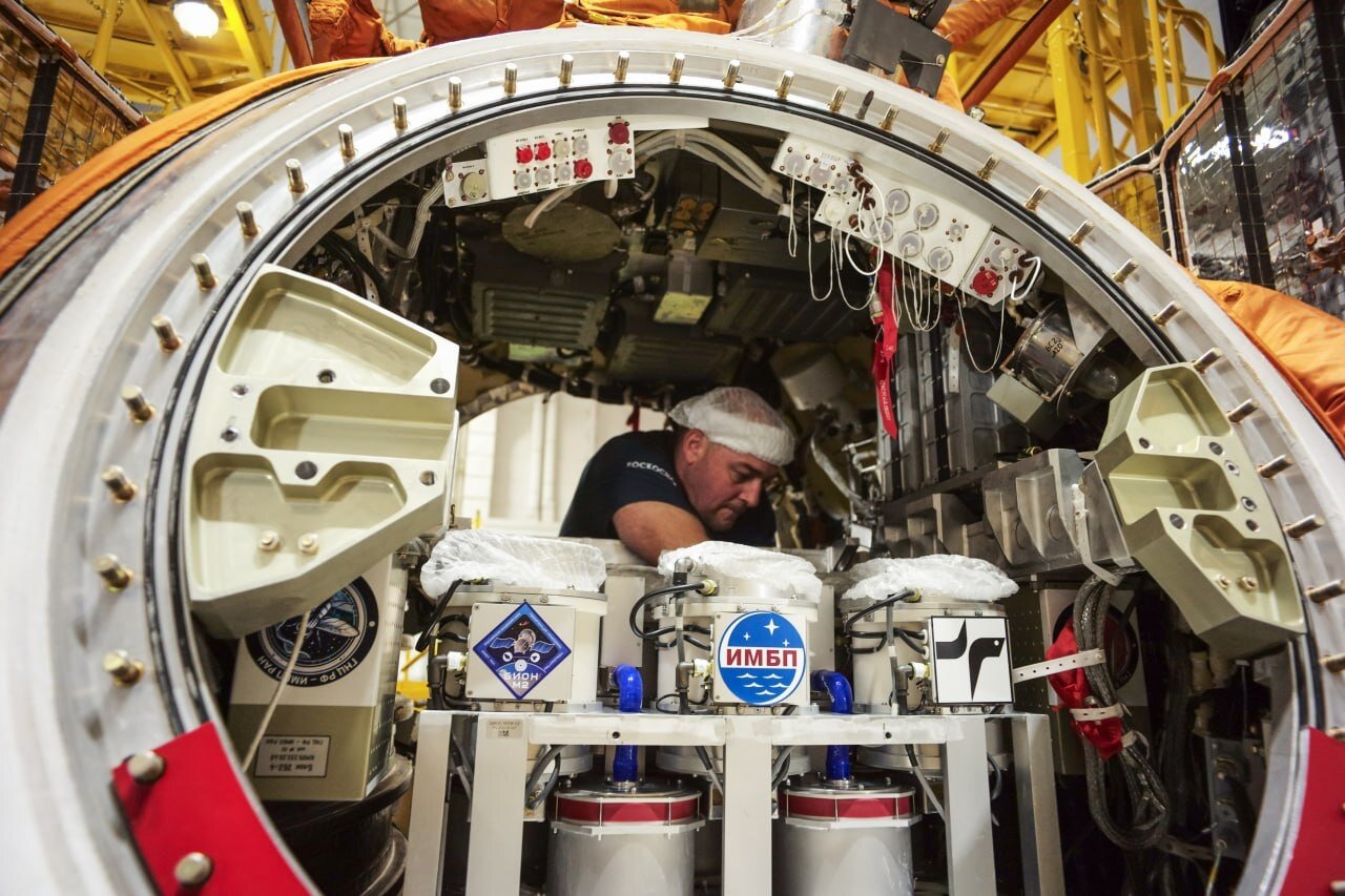 ۷۵ موش، کشت سلولی و دانههای گیاه از سفر فضایی بازگشتند