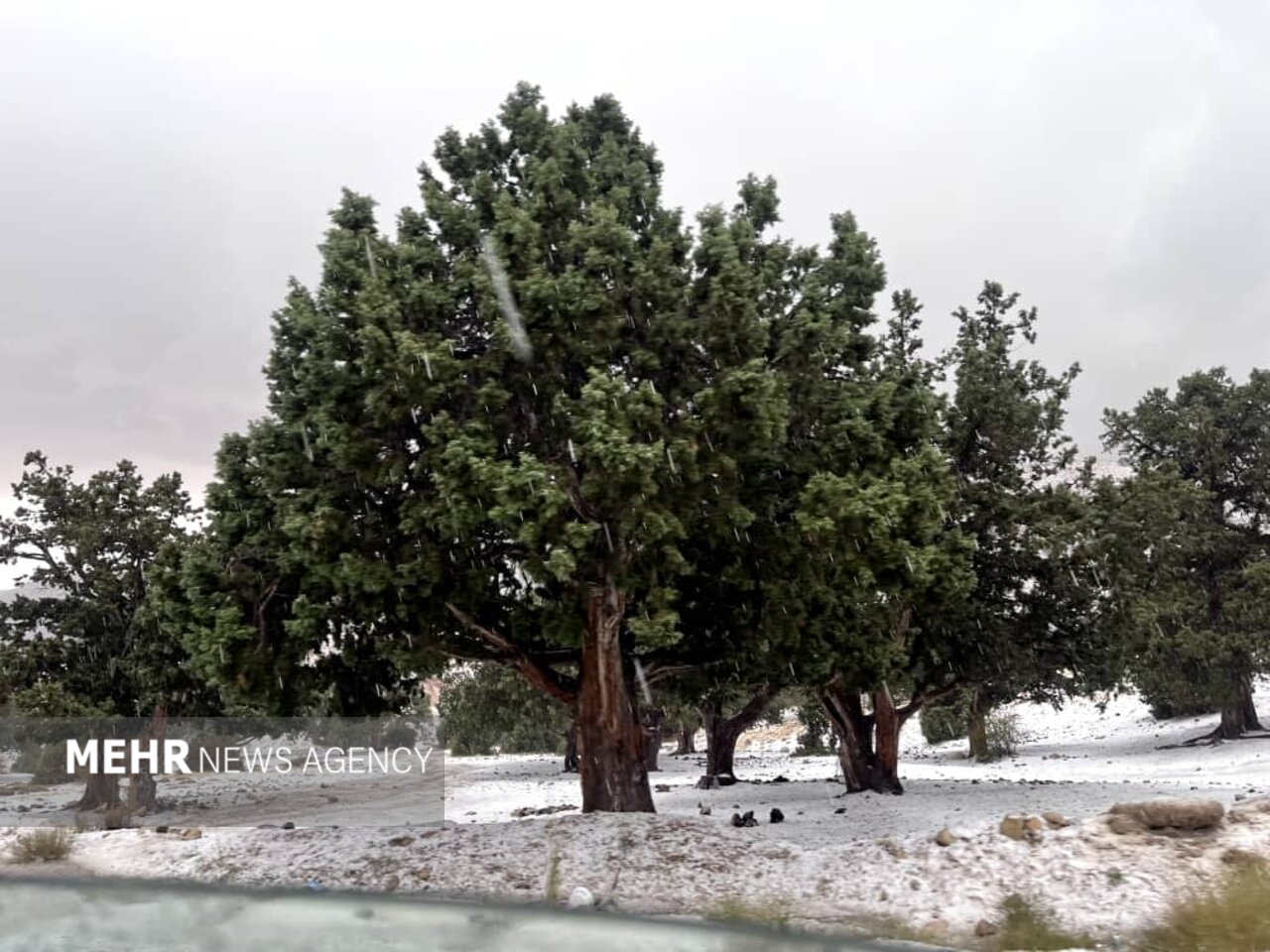 اولین برف پاییزی در ایستگاه ۷ توچال تهران