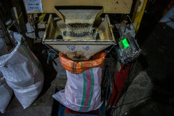 محمدی: ظرفیت تبدیل برنج در گیلان به ۱.۲ میلیون تن رسید