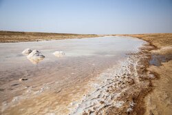 ورود فاضلاب شهری البرز عامل اصلی آلودگی رودخانه شور ملارد