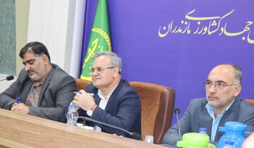 معاون وزیر جهاد کشاورزی: طرح‌های گسترده برای تحول کشاورزی اجرا می‌شود