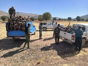 توقیف محموله سنگین چوب قاچاق در کرمانشاه