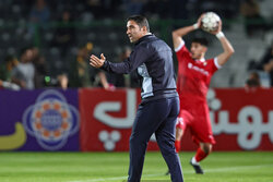 یک بام و درهوای استادیوم برای وحید هاشمیان در پرسپولیس