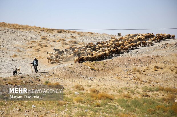 اردوی جهادی دانشجویی در روستاهای محروم «فاروج»