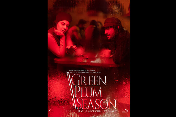 «فصل آلوچههای سبز» از آمریکا جایزه گرفت