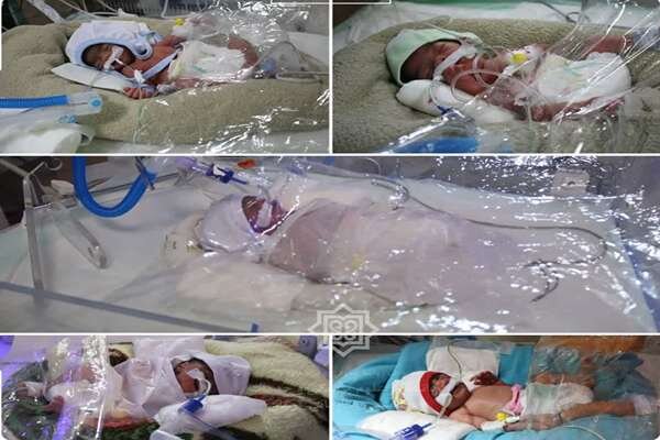 پنج قلوها درآغوش مادر کرمانی آرام گرفتند؛ از زایمان تا مراقبتهای ویژه پنج قلوها درآغوش مادر کرمانی آرام گرفتند؛ از زایمان تا مراقبتهای ویژه