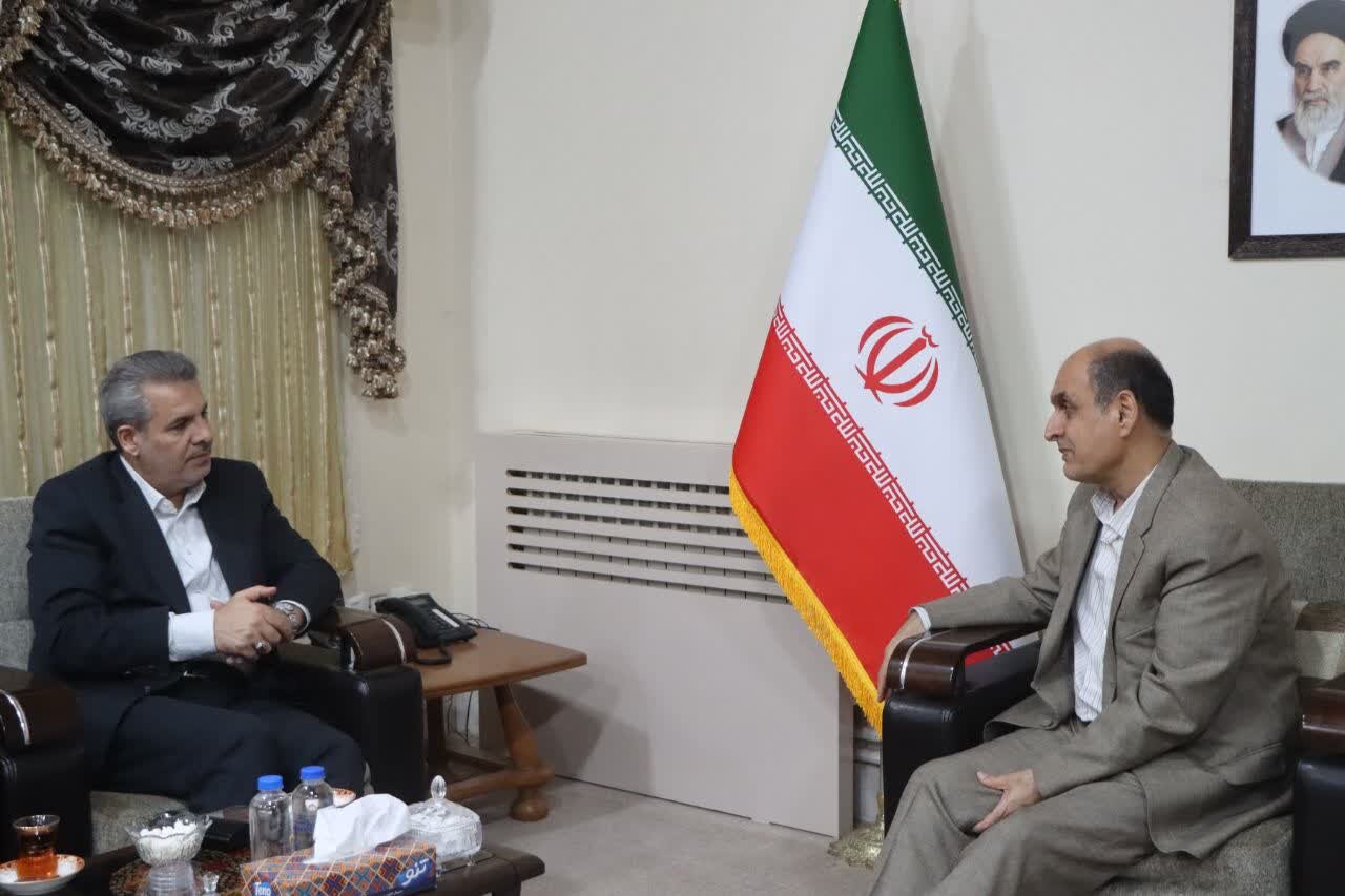 صالحی: بنیاد مسکن اجرای طرح‌های هادی روستایی را با جدیت دنبال می‌کند