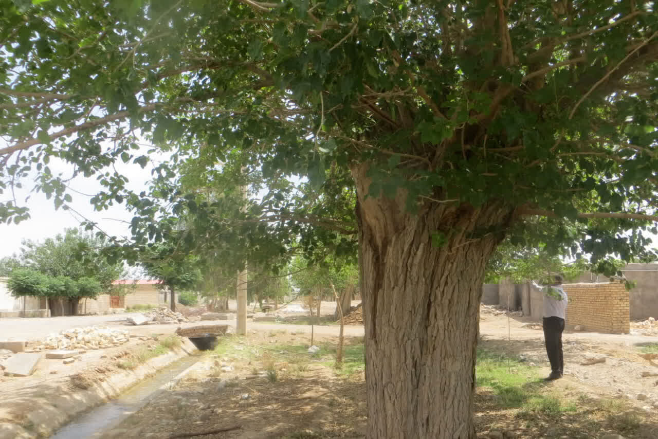 طبيعي،سرآسياب،اصفهان،روستاي،گردشگري،حفاظت