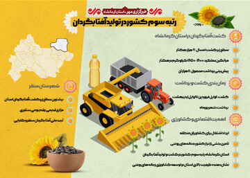 اینفوگرافیک |کرمانشاه رتبه سوم تولید آفتابگردان کشور را کسب کرد