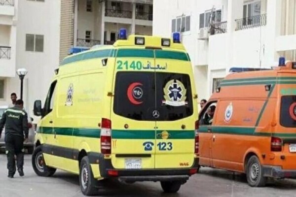 8 dead, 35 injured in massive garment factory fire in N Egypt