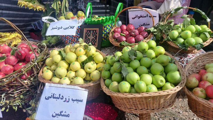 جشنواره سیب در مشگینشهر برگزار شد