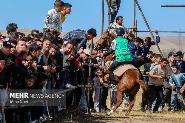 رقابت کورس اسب‌ دوانی در سیزدهمین جام ستارخان