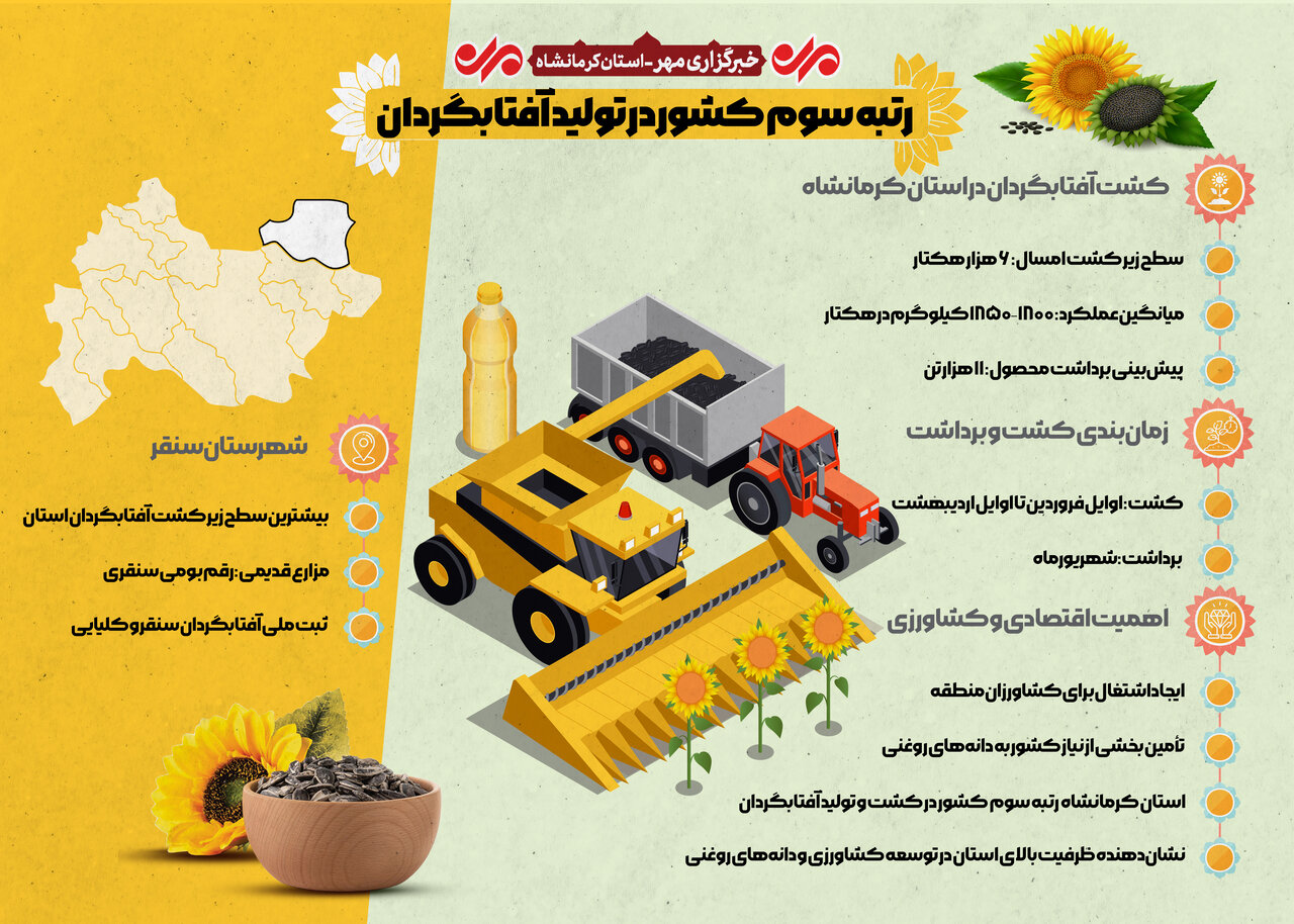 اینفوگرافیک |کرمانشاه رتبه سوم تولید آفتابگردان کشور را کسب کرد