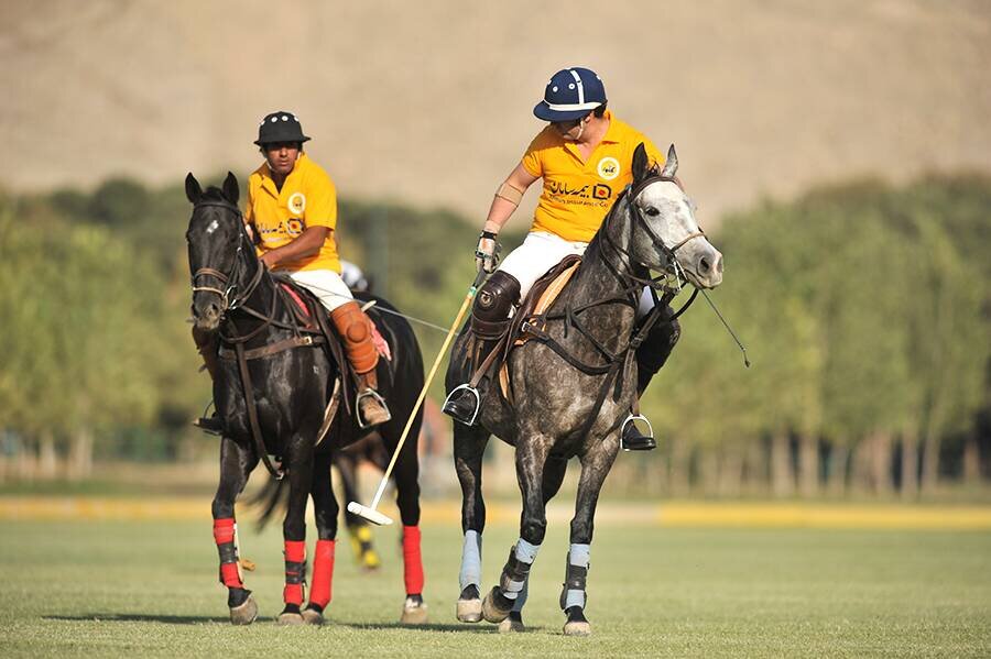 Iran polo