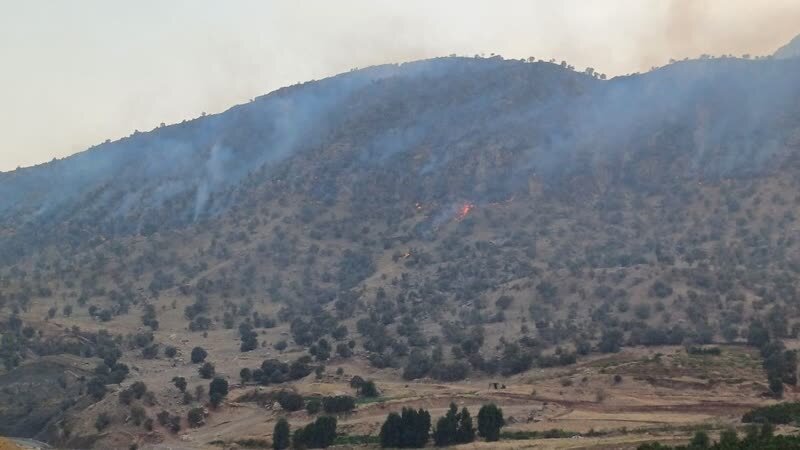 حريق،مهار،مازندران،هدايت