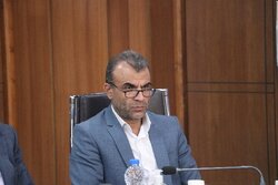 شهرزاد: تأمین آرد برای پخت نان کامل در هرمزگان در دستور کار است