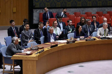 UN Security Council