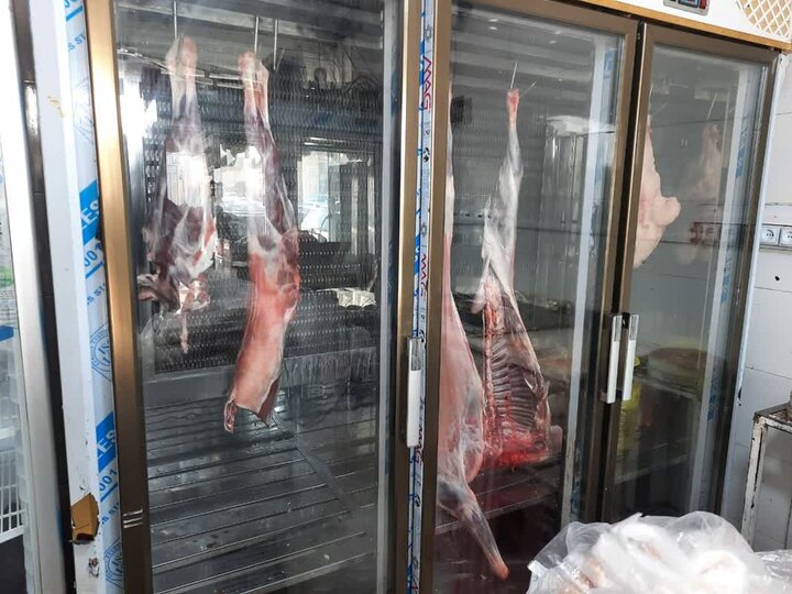 واحد عرضه کشتار غیرمجاز دام در تنگستان پلمب شد واحد عرضه کشتار غیرمجاز دام در تنگستان پلمب شد