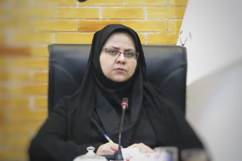 نظامی: دولت با مشوق های فرزندآوری از خانواده های چند قلو حمایت می کند نظامی: دولت با مشوق های فرزندآوری از خانواده های چند قلو حمایت می کند