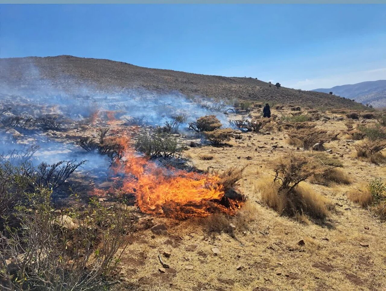 حريق،طبيعي،منابع،يگان،فرمانده،حفاظت