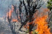 هشدار آتش‌سوزی در جنگل‌ها و مراتع غرب مازندران